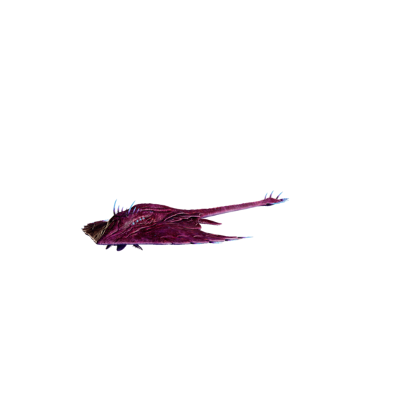 File:Ancient Stingray Elite.png