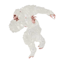 Yeti.png