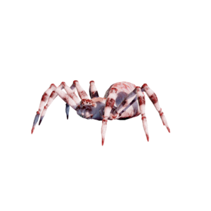 Ice Spider Elite.png