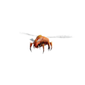 Thumbnail for version as of 15:15, 21 August 2026