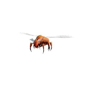 DeathBeetle Elite.png