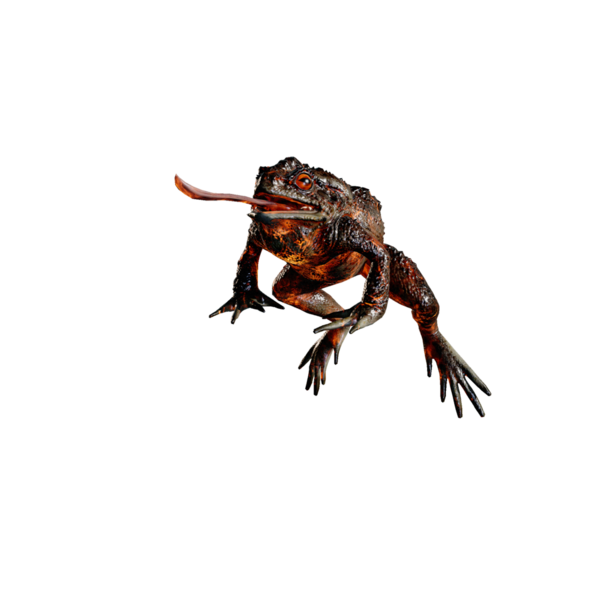 File:Little ToadFlame.png
