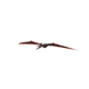 Emberwing.png