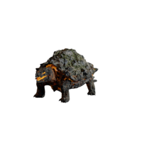 Lava Turtle.png