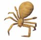 Spider Mummy.png
