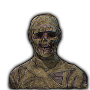 Skin Character Mummy S.png