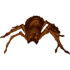 Giant Spider