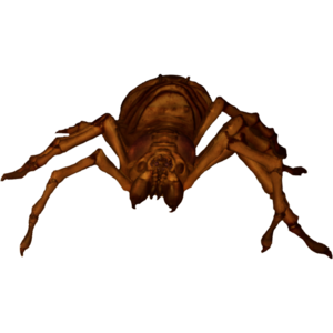 Giant Spider.png