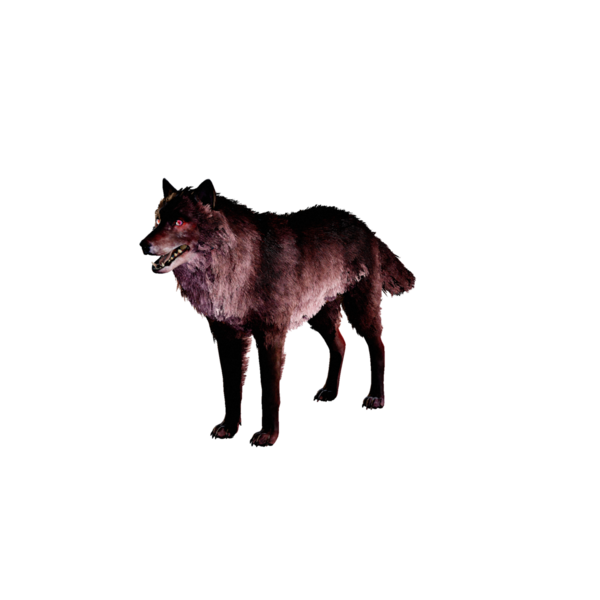 File:Dire Wolf Elite.png