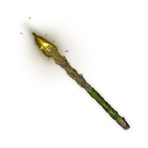 Skin Item Torch Elven.png