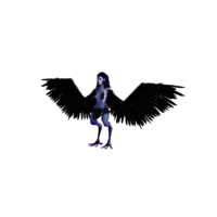 Harpy Nightmare.png