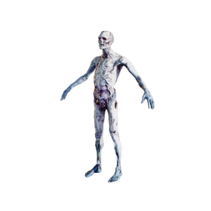 Frost Walker Elite.png