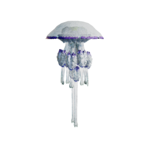 Giant Jellyfish Nightmare.png