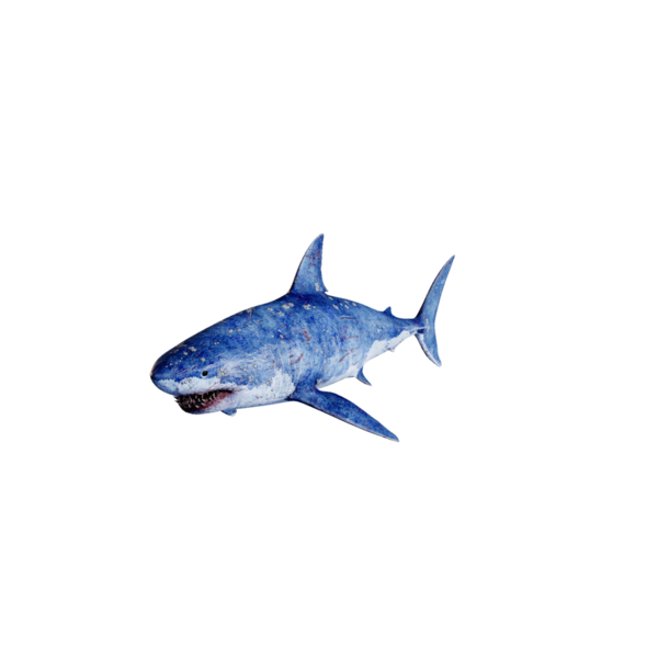 File:White Shark Nightmare.png