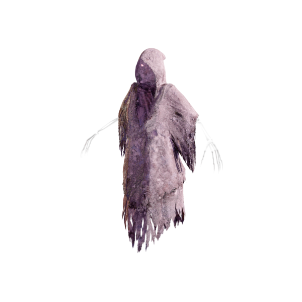 File:Frozen Ghost Elite.png