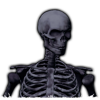 Adventure Rank - Dark and Darker Wiki