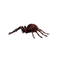 Giant Spider Elite.png