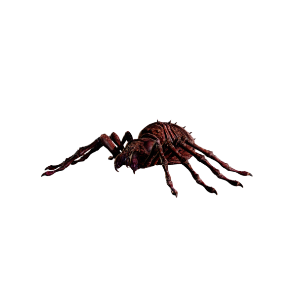 File:Giant Spider Elite.png