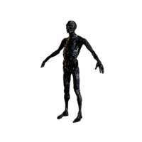 Zombie Nightmare.png