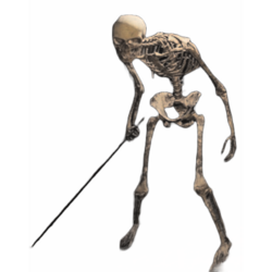 Skeleton Footman.png