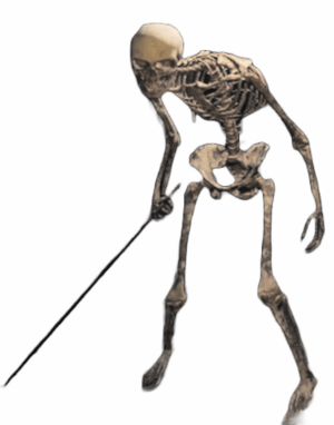Skeleton Footman.png