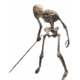 Skeleton Footman.png