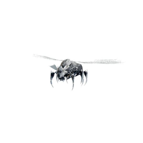 File:DeathBeetle.png