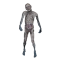 Thumbnail for version as of 01:58, 25 February 2024