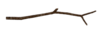 Twig.png
