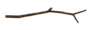 Twig.png