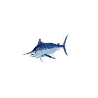 Bluemarlin.png