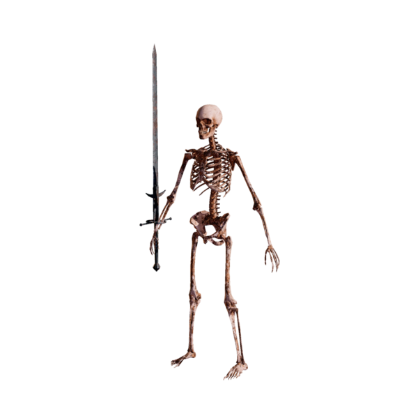 File:Skeleton Swordman Elite.png