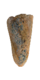 Moldy Bread.png