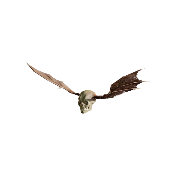File:DeathSkull.png