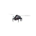 Thumbnail for version as of 15:15, 21 August 2026