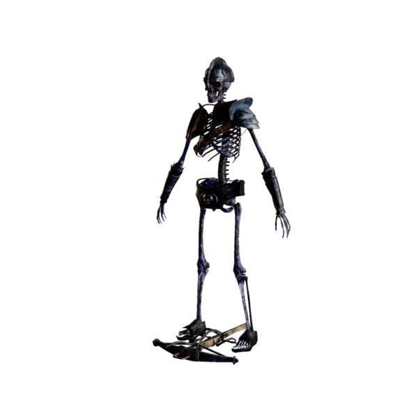 File:Skeleton Crossbowman Nightmare.png