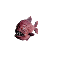 Sea Piranha Elite.png