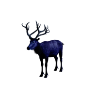Midnight Stag.png
