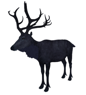 Midnight Stag.png