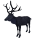 Midnight Stag.png
