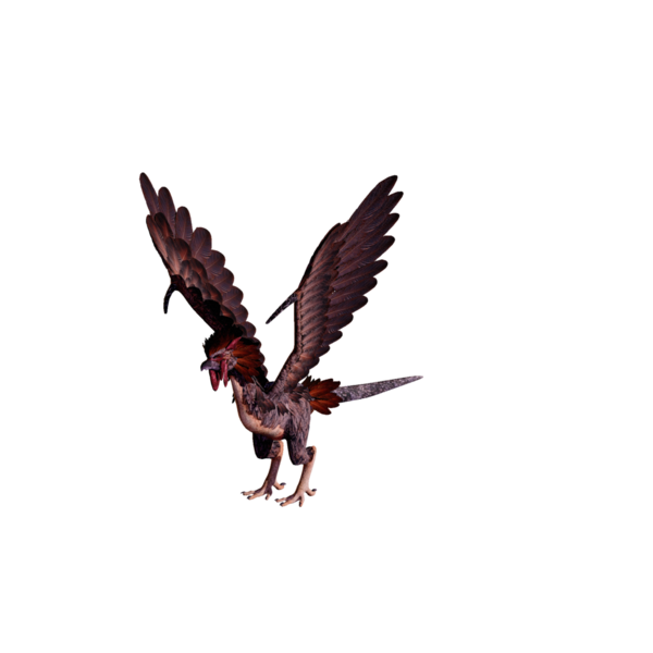 File:Cockatrice Elite.png