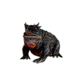 Blaze Toad.png