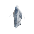 Frozen Ghost