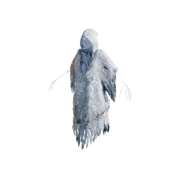 File:Frozen Ghost.png