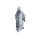 Frozen Ghost.png