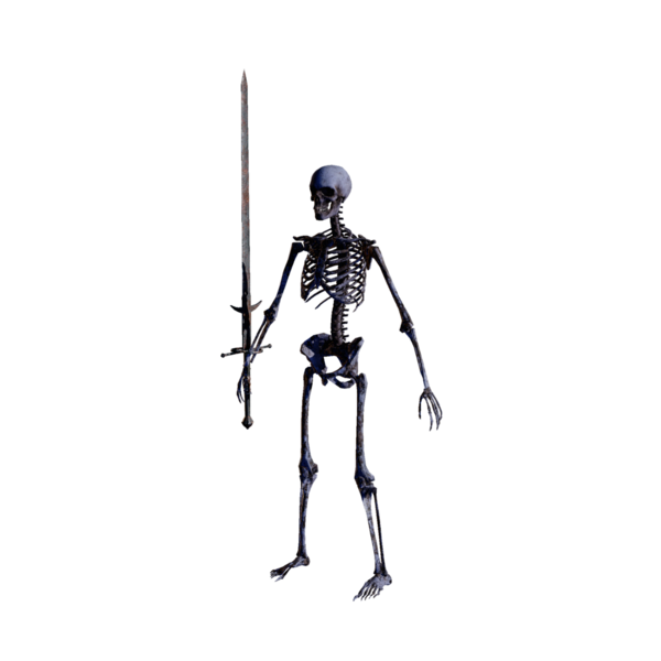 File:Skeleton Swordman Nightmare.png