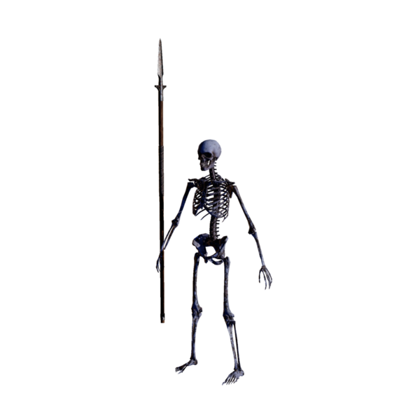 File:Skeleton Spearman Nightmare.png