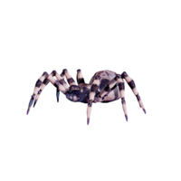 Ice Spider Nightmare.png