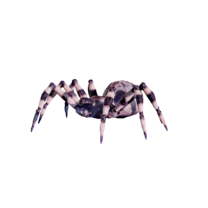 Ice Spider Nightmare.png