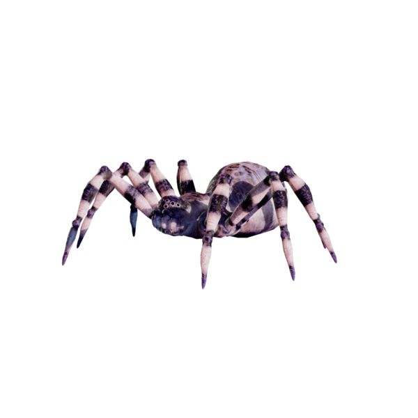 File:Ice Spider Nightmare.png
